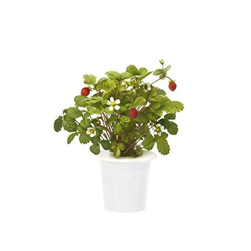 Click and Grow Smart Garden Refill 3-pack - Wild Strawberry