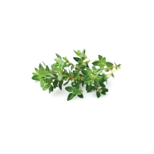 Click and Grow Smart Garden Refill 3-pack - Thyme