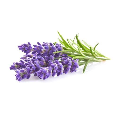 Click and Grow Smart Garden Refill 3-pack - Lavender